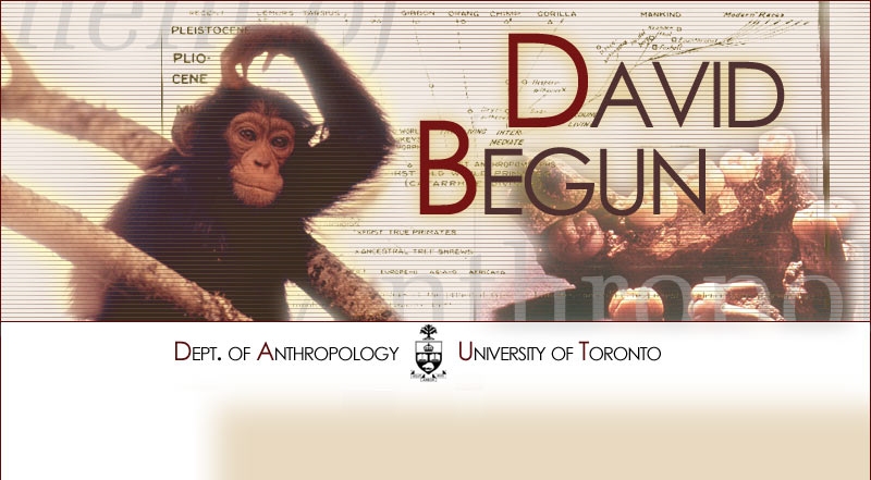 Dr. David Begun